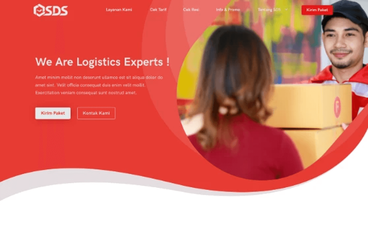 SDS Express website
